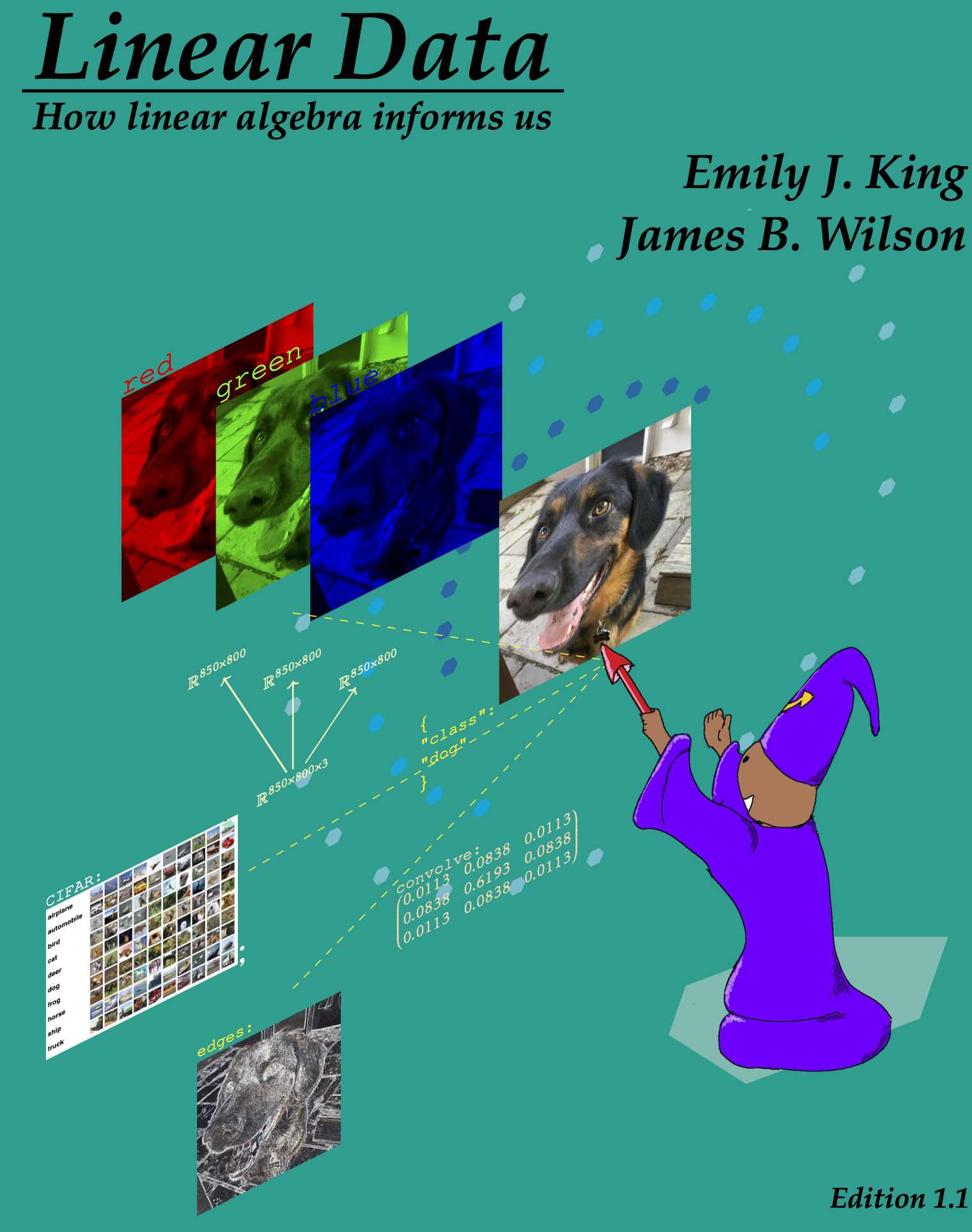 LinearData | An introduction to linear data and information.